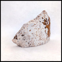 POD101tr Polka Dot Agate Specimen