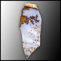 POD102tr Polka Dot Agate Slab