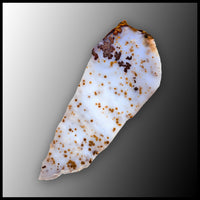 POD104tr Polka Dot Agate Slab