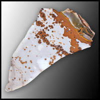 POD105tr Polka Dot Agate Slab