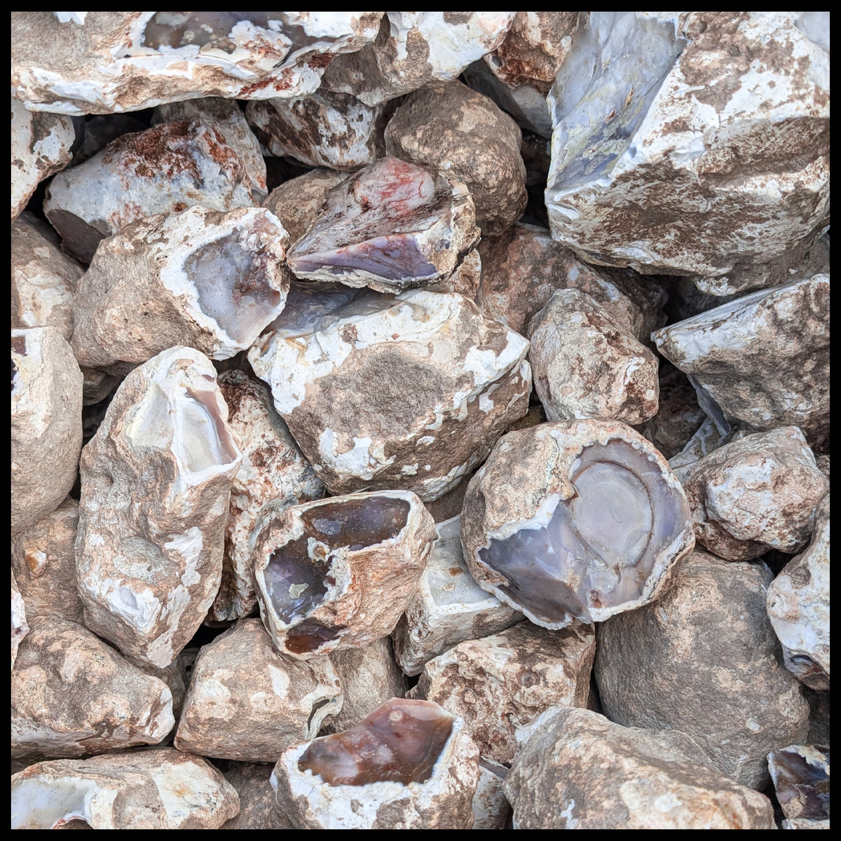 Lavender Jasper, Mexico, Rough Rock, per lb| The Gem Shop, Inc.