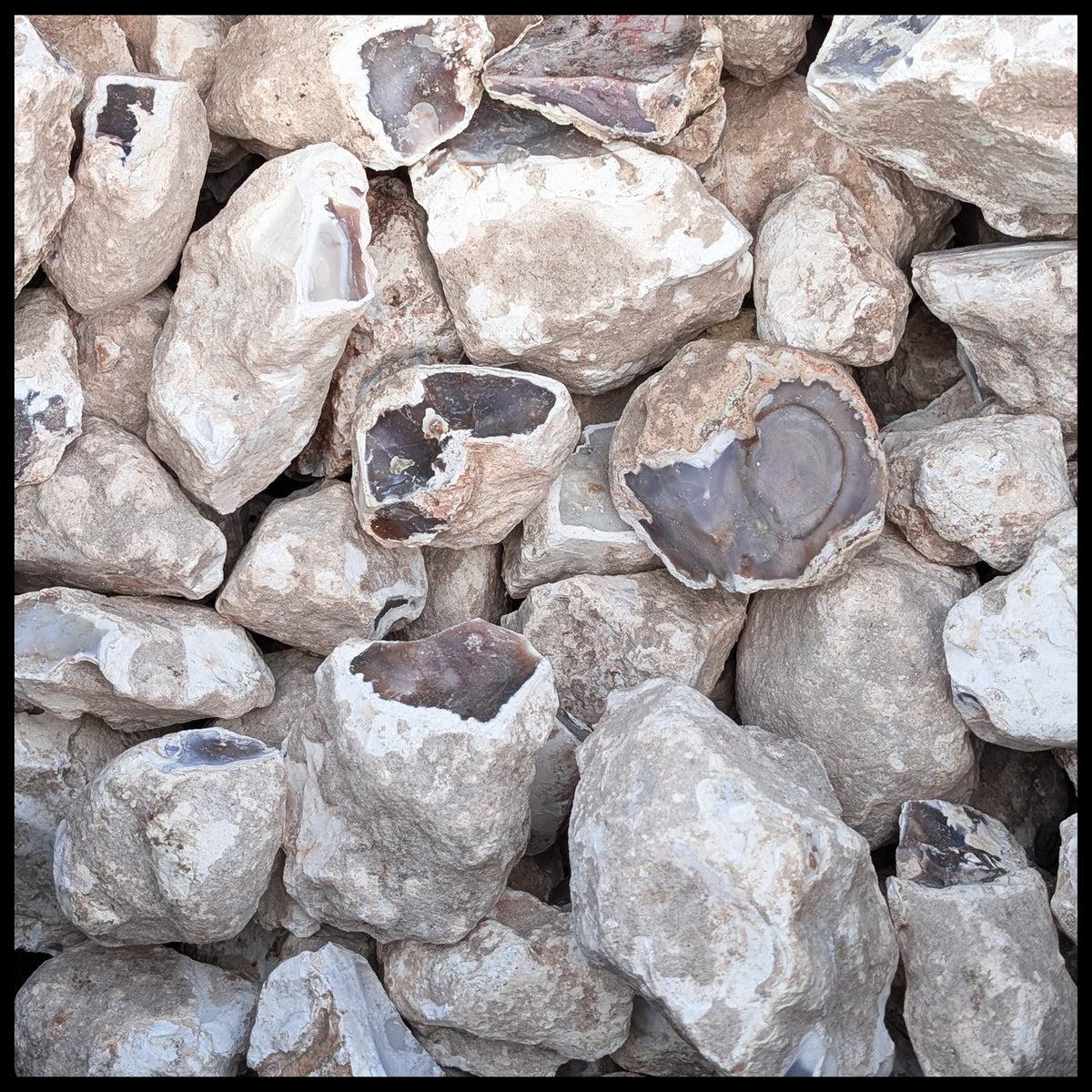 Lavender Jasper, Mexico, Rough Rock, per lb| The Gem Shop, Inc.