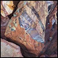 Sonora Dendritic, Rough Rock, per lb