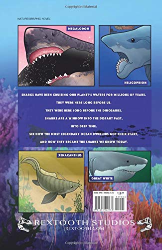 Sharks: A 400 Million Year Journey| The Gem Shop, Inc.
