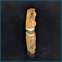 TGI227 Imperial Topaz Crystal