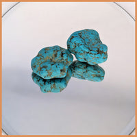 TRQ106 Cananea Turquoise 2pc lot