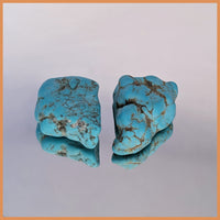 TRQ107 Cananea Turquoise 2pc lot