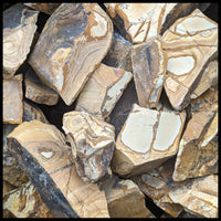 African Queen Picture Jasper, Rough Rock, per lb