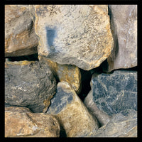 Bone Wood, Indonesia, Rough Rock, per lb