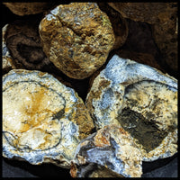 Dendritic Opal, Rough Rock, per lb