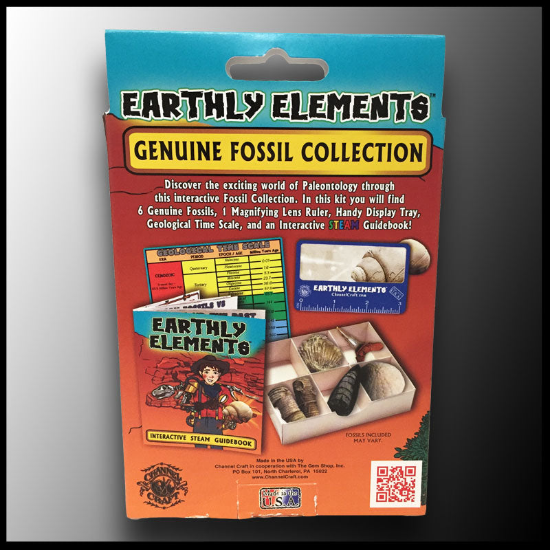 http://thegemshop.com/cdn/shop/products/Earhtly-Elements-Fossil-Kit_2_1200x1200.jpg?v=1571264425