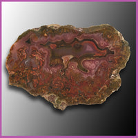 AGN430 Agua Nueva Agate Specimen