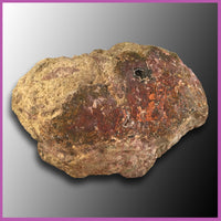 AGN430 Agua Nueva Agate Specimen