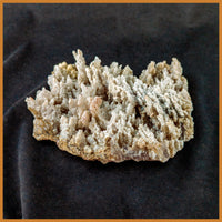 ANW150 Angelwing Chalcedony Specimen