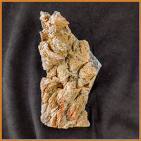 ANW151 Angelwing Chalcedony Specimen