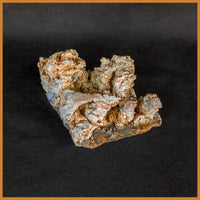 ANW172 Angelwing Chalcedony Specimen