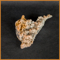 ANW174 Angelwing Chalcedony Specimen