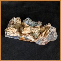 ANW178 Angelwing Chalcedony Specimen