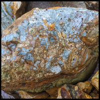 Blue Mustang Picture Jasper, Rough Rock, per lb