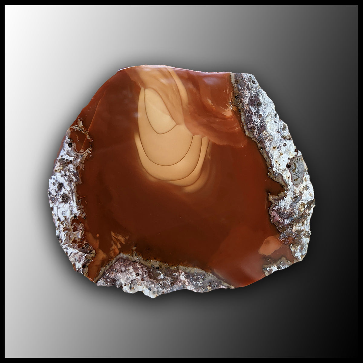 アート　JASPER ブラウン　ラウンド型 BRU148 Bruneau Jasper Slab| The Gem Shop, Inc.