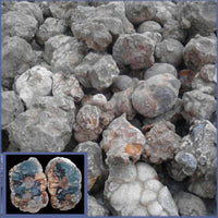 Cold Mountain Thundereggs, Rough Rock, per lb