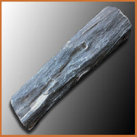 EVP288 Eden Valley Petrified Wood Limb Cast