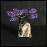 GSTsz3 Gemstone Tree - Amethyst and Citrine