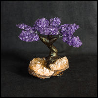 GSTsz3 Gemstone Tree - Amethyst and Citrine