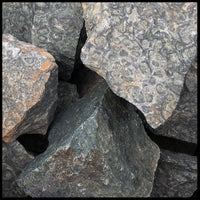 Kambaba Jasper, Rough Rock, per lb