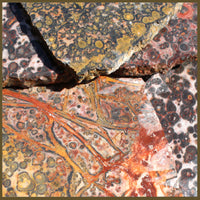 Leopardskin Rhyolite Slabs - 1 lb lot