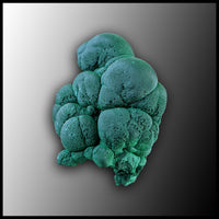 MAL150 Botryoidal Malachite