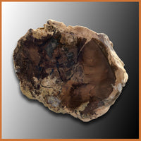 PET232 McDermitt Petrified Wood Limb
