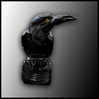 Onyx Raven, Large