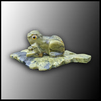 Serpentine Frog on Leaf