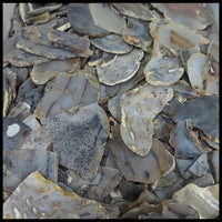 Montana Moss Agate Slabs - 1 lb lot