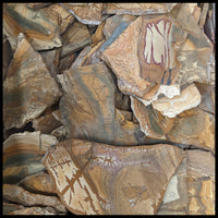 Owyhee Picture Jasper Slabs - 1 lb lot