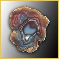 SWZ209jr Swazi Agate Specimen