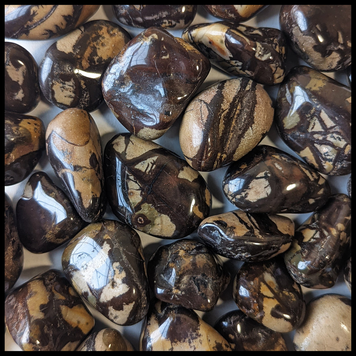 Nguni Jasper, Tumbled Stone, 1 lb lot| The Gem Shop, Inc.