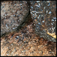 Turritella Agate, Rough Rock, per lb