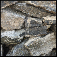 Turritella Agate, Rough Rock, per lb