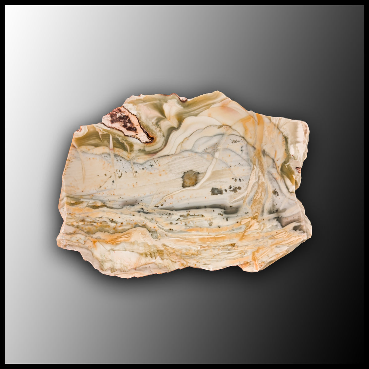 勾玉 (Willow Creek Jasper) 【公式通販】