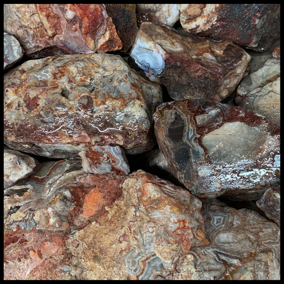 Lace Roug Laguna Lace Agate, Rough Rock, per lb| The Gem Shop, Inc.