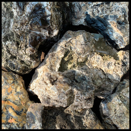 Nevada Dendritic Agate, Rough Rock, per lb