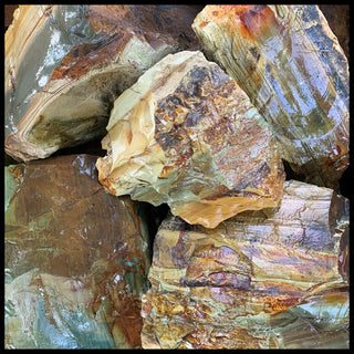 Cripple Creek Picture Jasper, Rough Rock, per lb