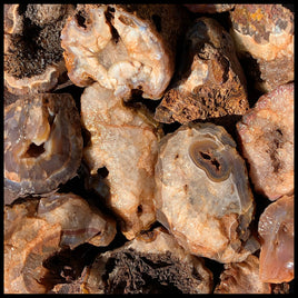 Coyamito Agate #2, Rough Rock, per lb