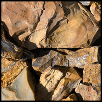 Petrified Wood, Grassy Mountain, Rough Rock, per lb