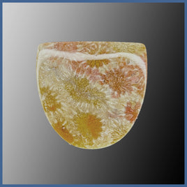 AGC409c Agatized Coral Cabochon