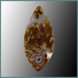 AGN1159c Agua Nueva Agate Cabochon