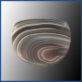 BOT613c Botswana Agate Cabochon