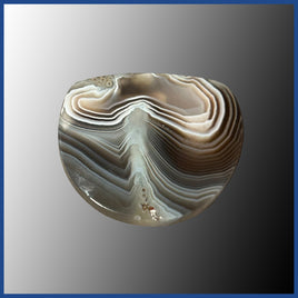 BOT614c Botswana Agate Cabochon